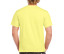 HEAVY COTTON ADULT T-SHIRT